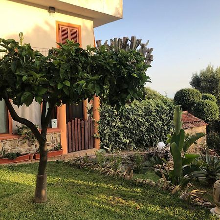 Il Vicolo Palinuro Villa Pisciotta Eksteriør bilde