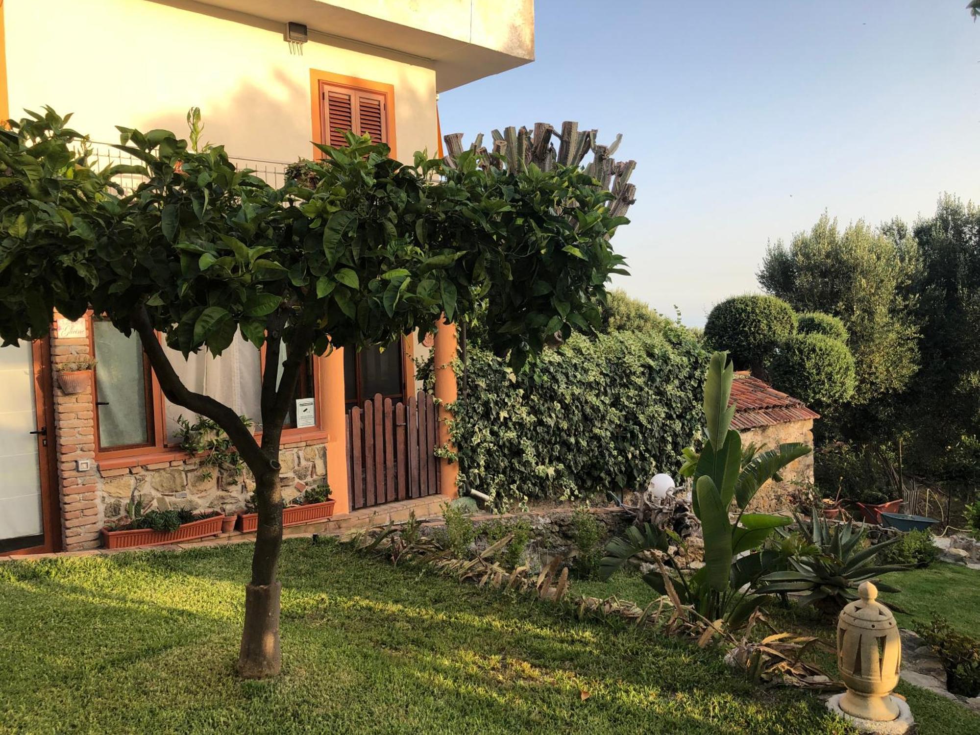 Il Vicolo Palinuro Villa Pisciotta Eksteriør bilde